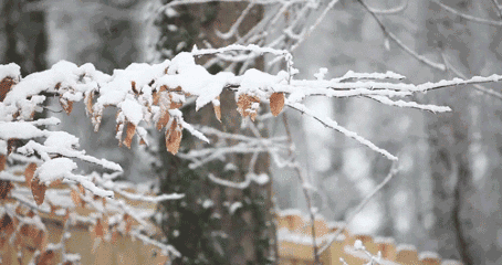 abede44e5.gif